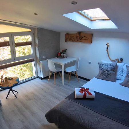 שצ'צ'ירק Beskidzka Guest House מראה חיצוני תמונה
