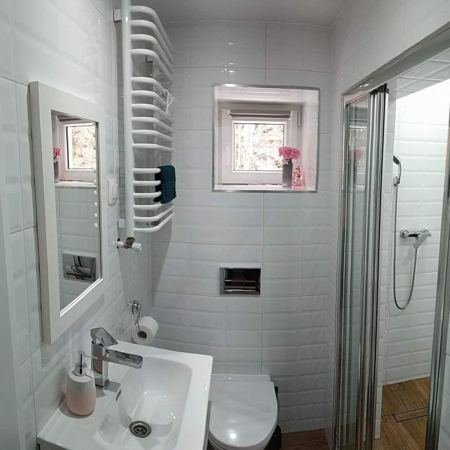 שצ'צ'ירק Beskidzka Guest House מראה חיצוני תמונה